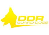 DDR Guard Dogs